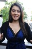 Hansika Photo Gallery - 71 of 71